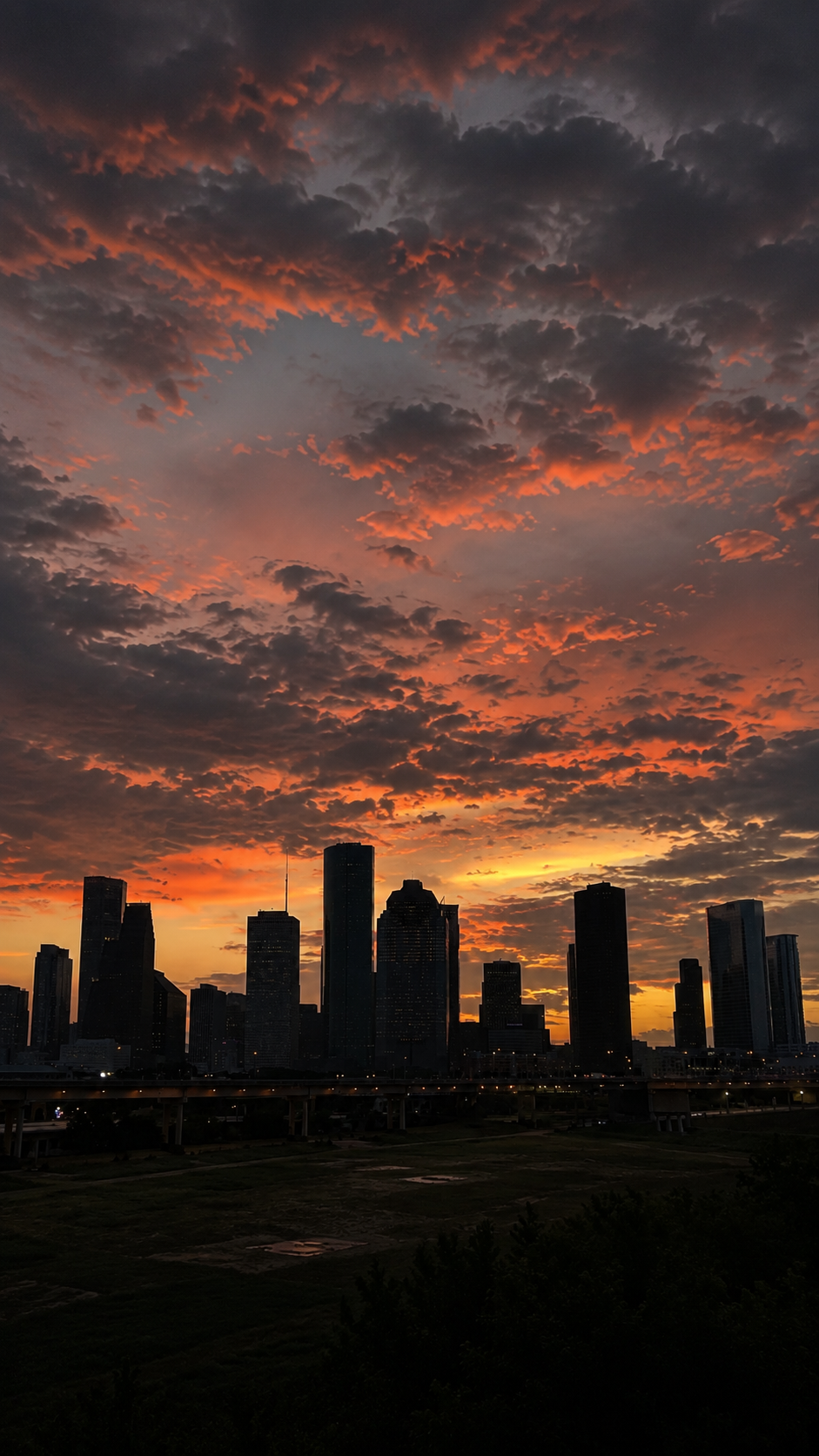 A vertical silhouette of the Houston skyline against a muted sky